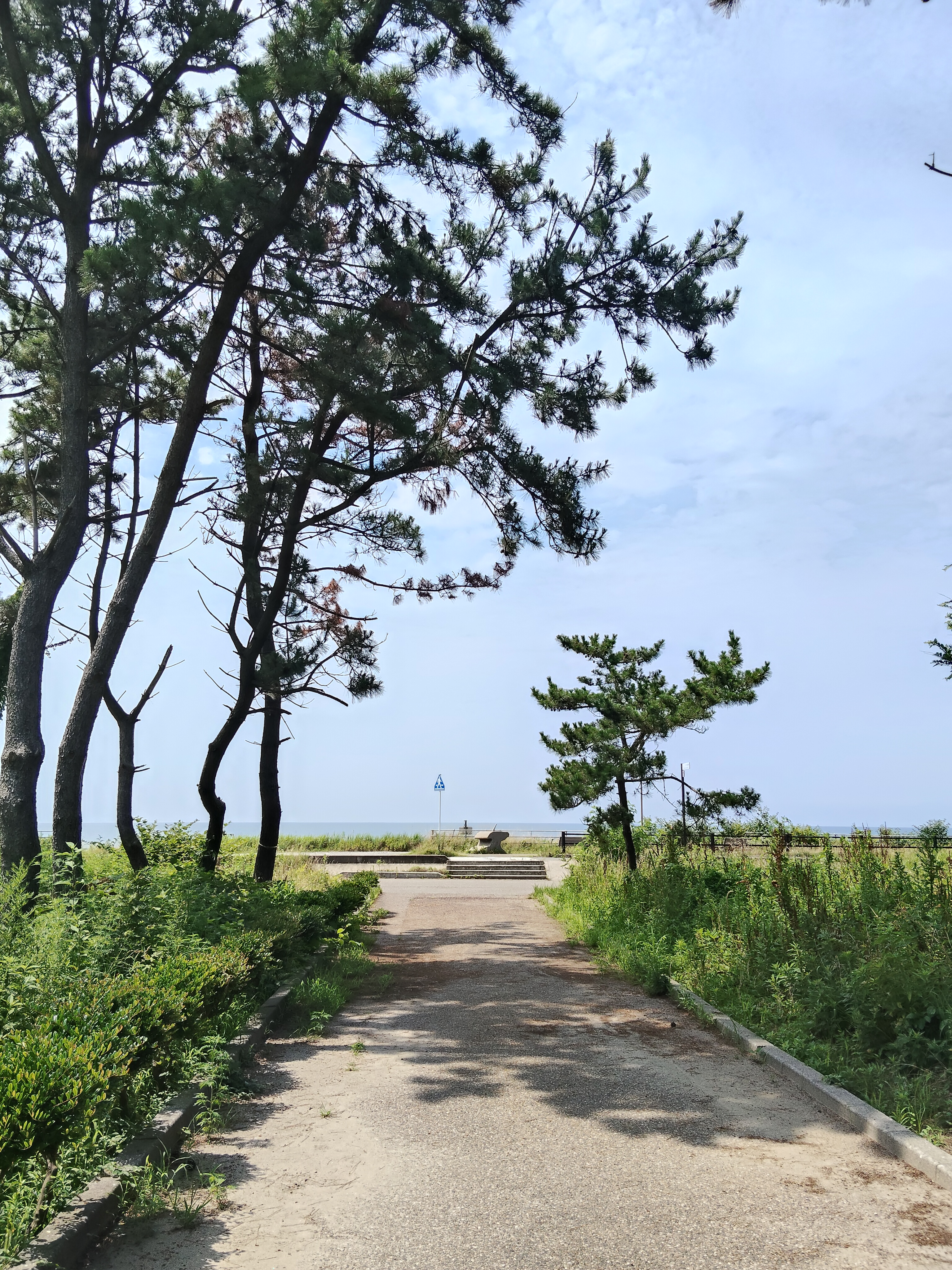 Niigata (2026)